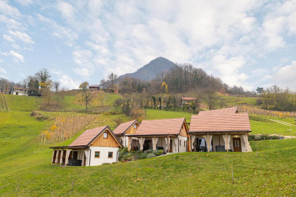 Pod Goro — posestvo pod Donačko goro med vinogradi Štajerske